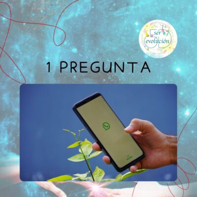 1 Pregunta